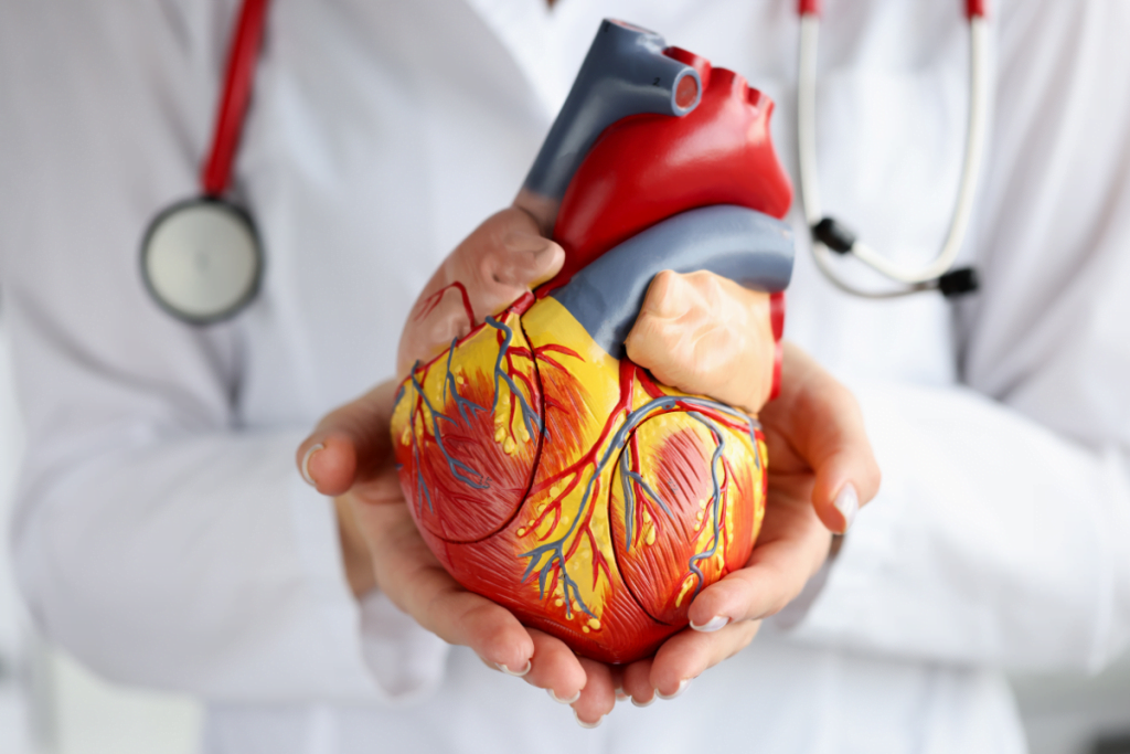 Metformin's Cardiovascular