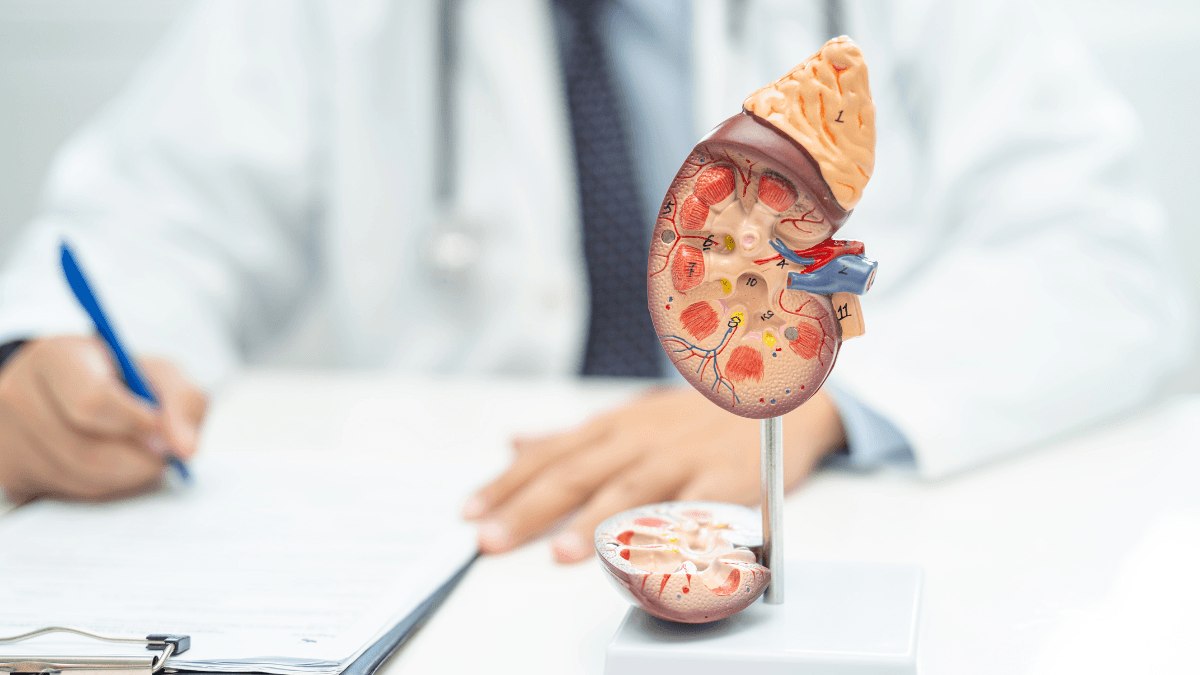 Chronic Kidney Disease