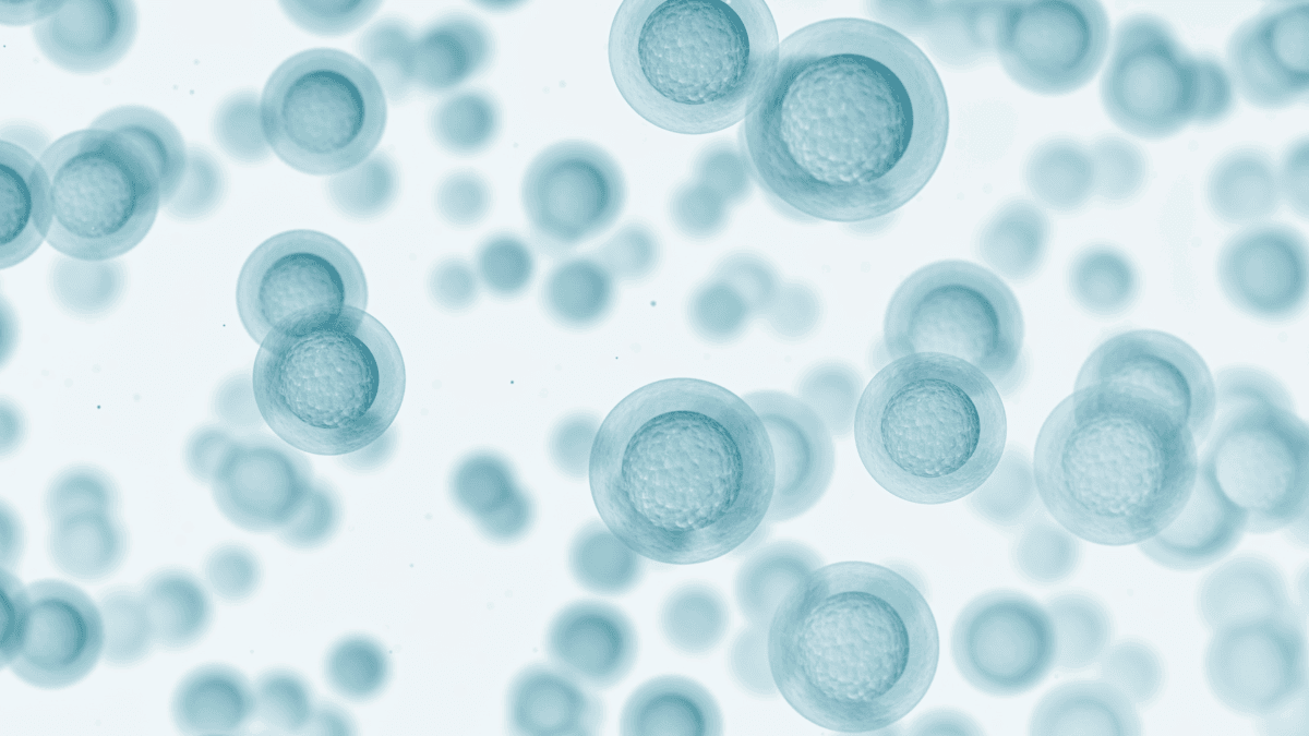 Metformin and Fertility
