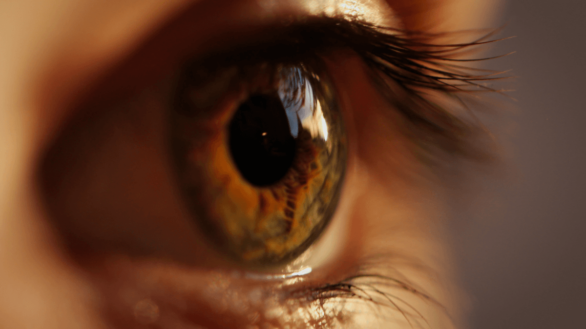 Diabetic Retinopathy