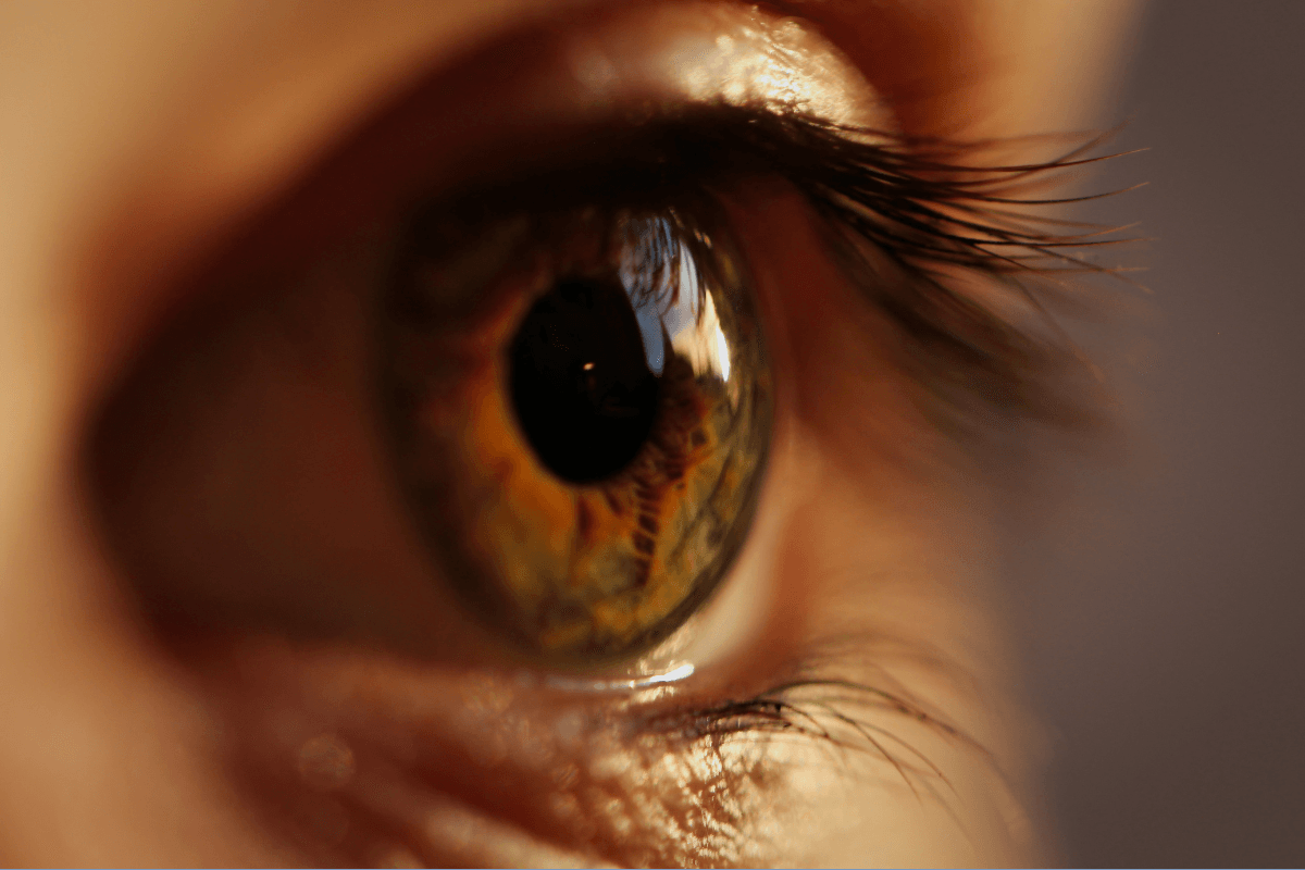 Retinopatía diabética