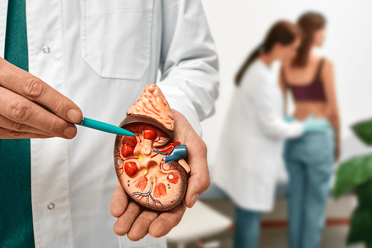 Etapas de la insuficiencia renal diabética