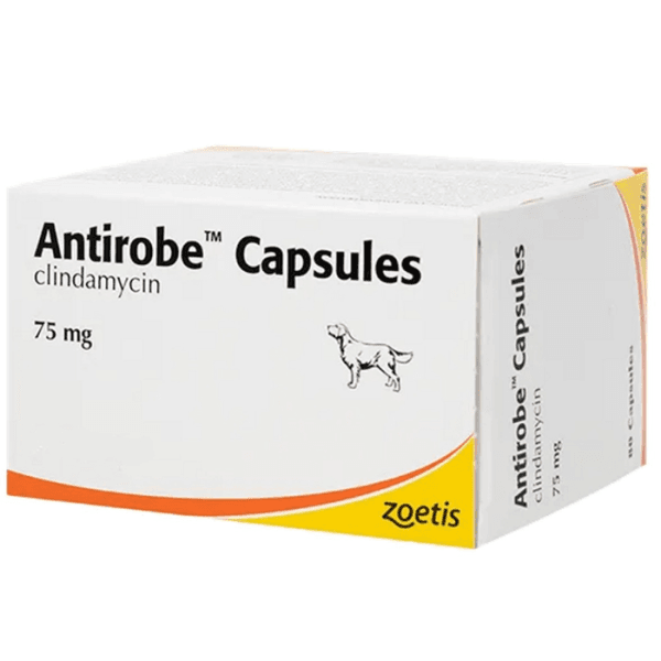 Antirobe