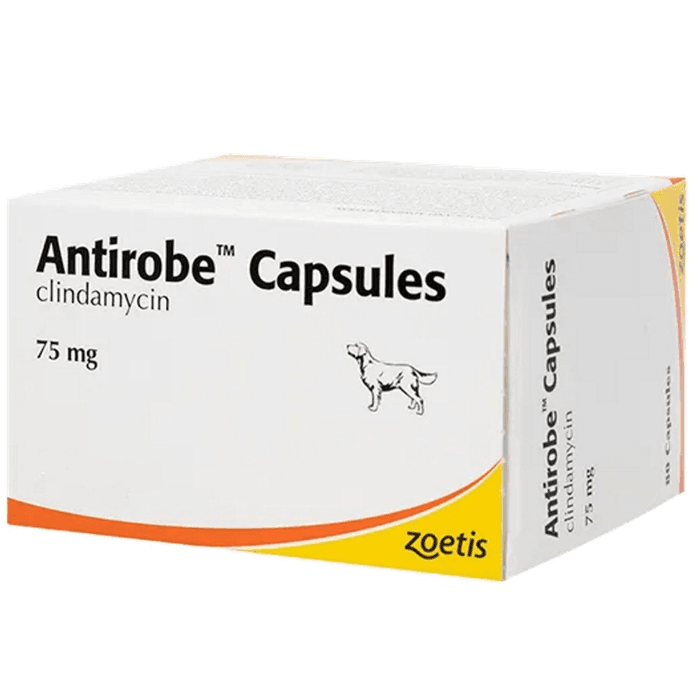 Antirobe 1 Antirobe