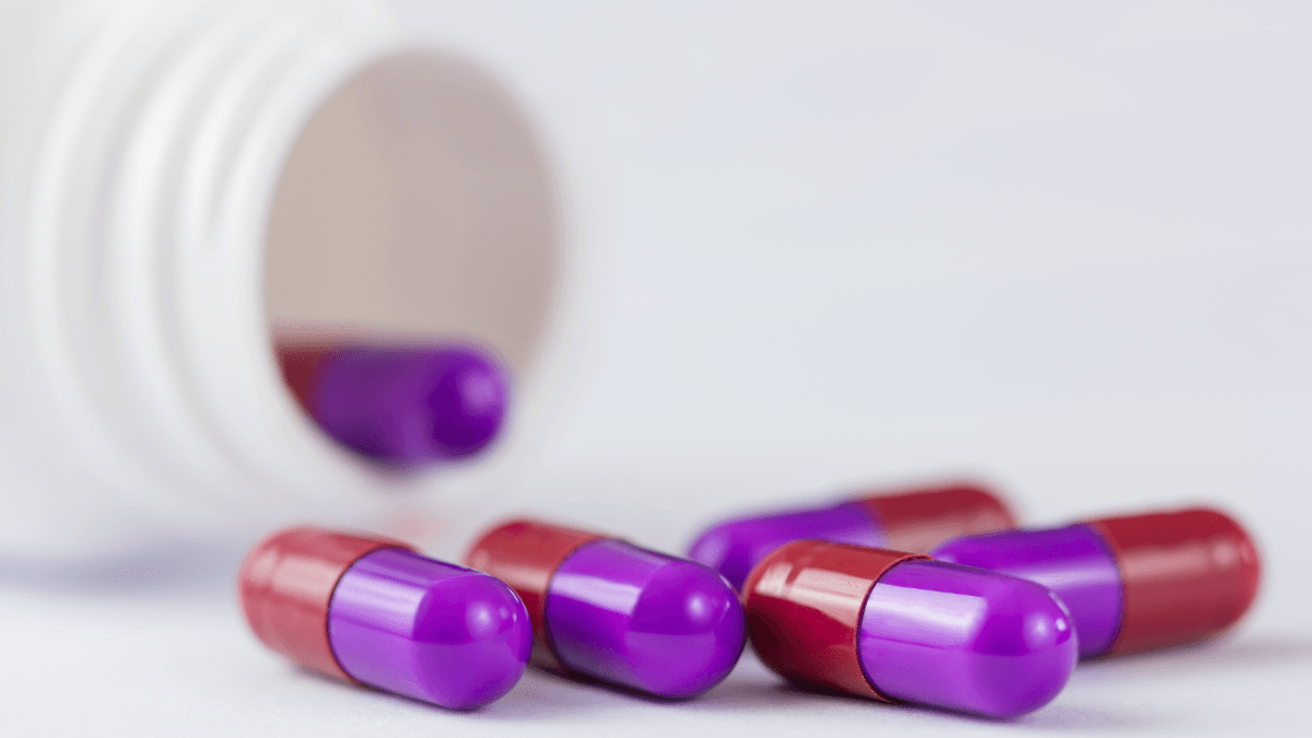 Cephalexin for Dogs