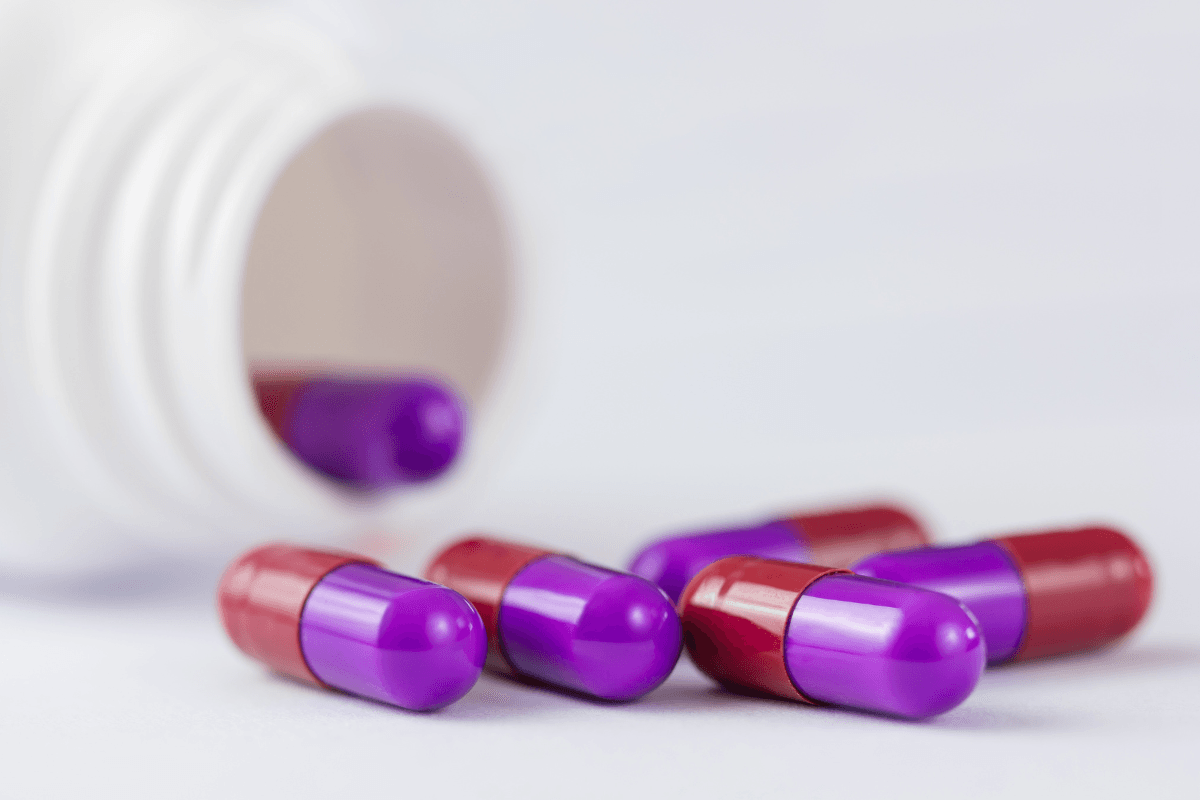 Cephalexin for Dogs