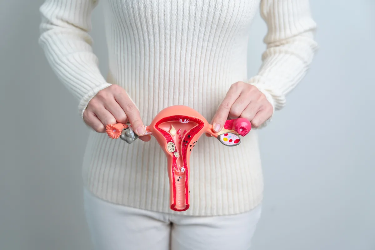 tirzepatide vaginal bleeding Imvexxy Uses: GSM Symptoms and Safety Basics